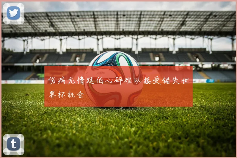 伤病无情廷伯心碎难以接受错失世界杯机会