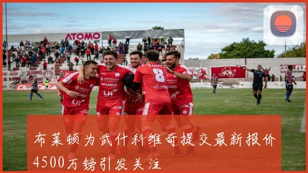 布莱顿为武什科维奇提交最新报价4500万镑引发关注